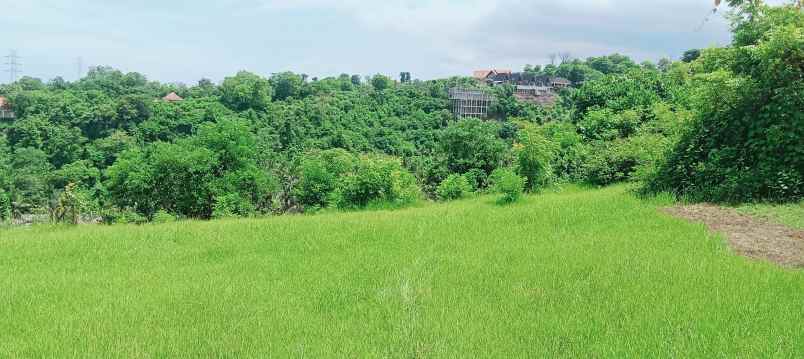 dijual tanah strategis di sentral lovina