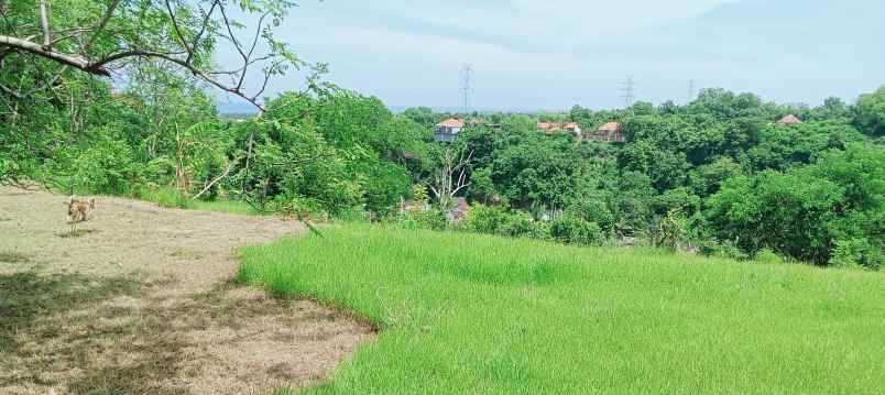 dijual tanah strategis di sentral lovina