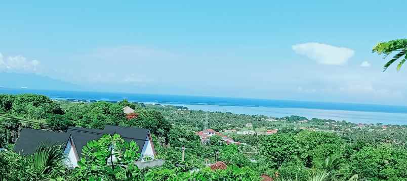 dijual tanah strategis di sentral lovina