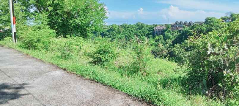 dijual tanah strategis di sentral lovina