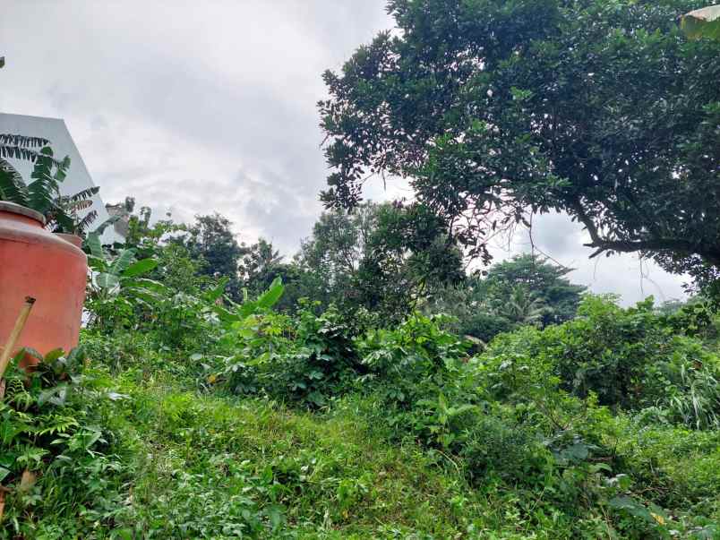 dijual tanah strategis di wilayah cimanggis depok