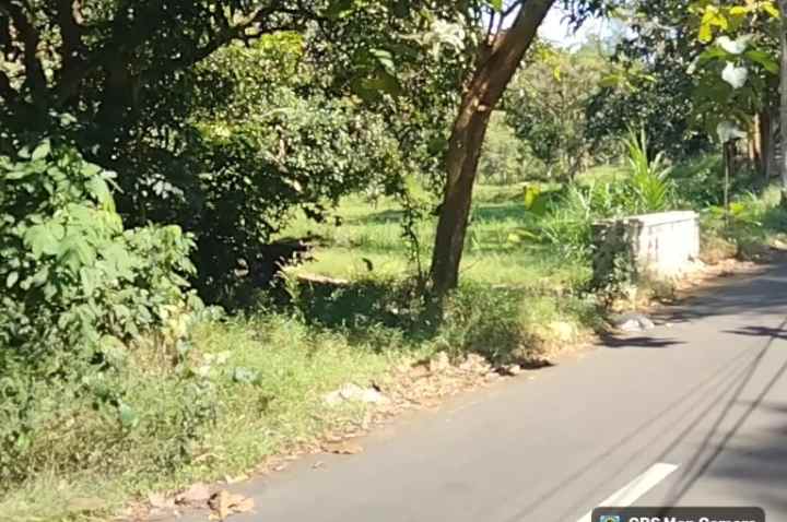 dijual tanah strategis pinggir jl desa di kuningan