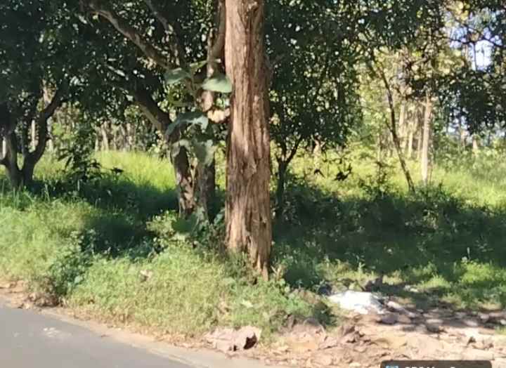 dijual tanah strategis pinggir jl desa di kuningan