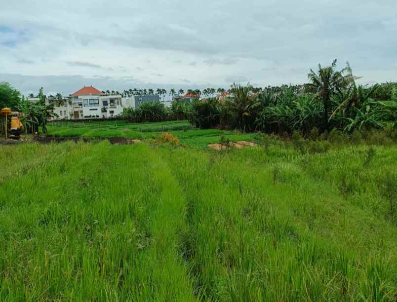 dijual tanah tumbak bayuh badung bali