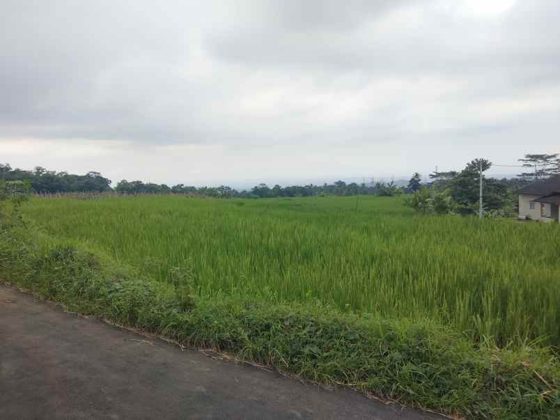 dijual tanah view gunung pinggir jalan desa
