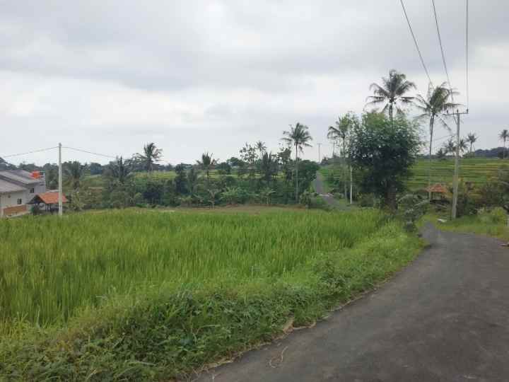 dijual tanah view gunung pinggir jalan desa
