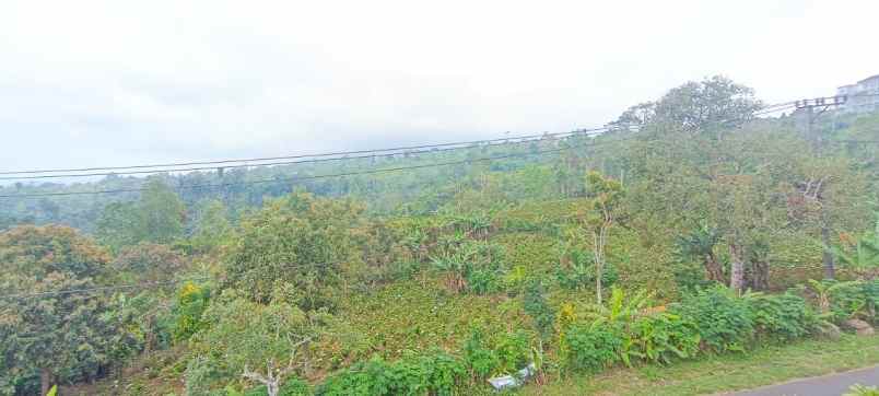 dijual tanah wanagiri sukasada buleleng