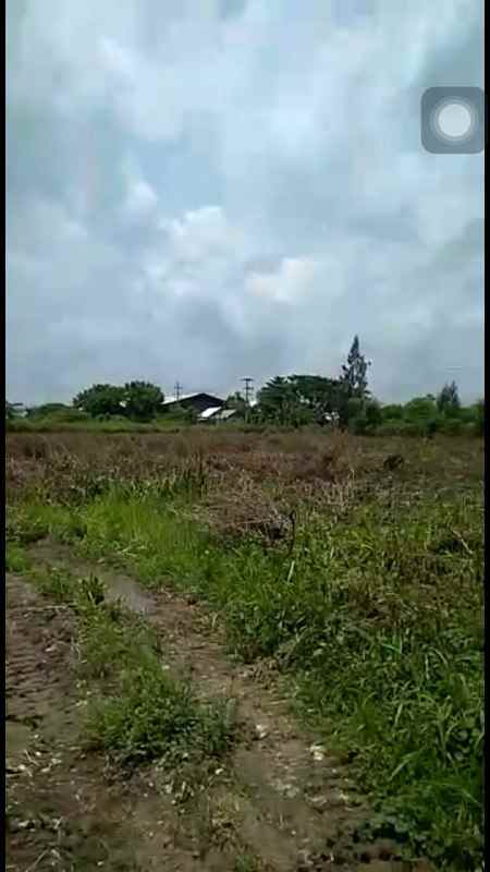 dijual tanah widang