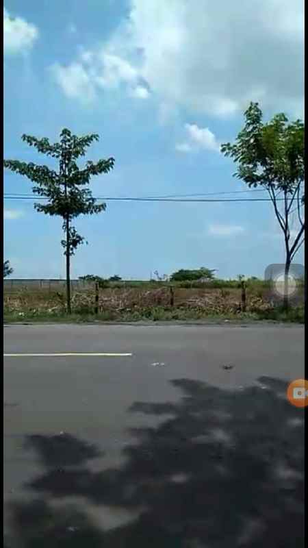 dijual tanah widang