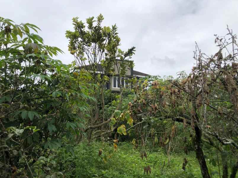 dijual villa tulungrejo