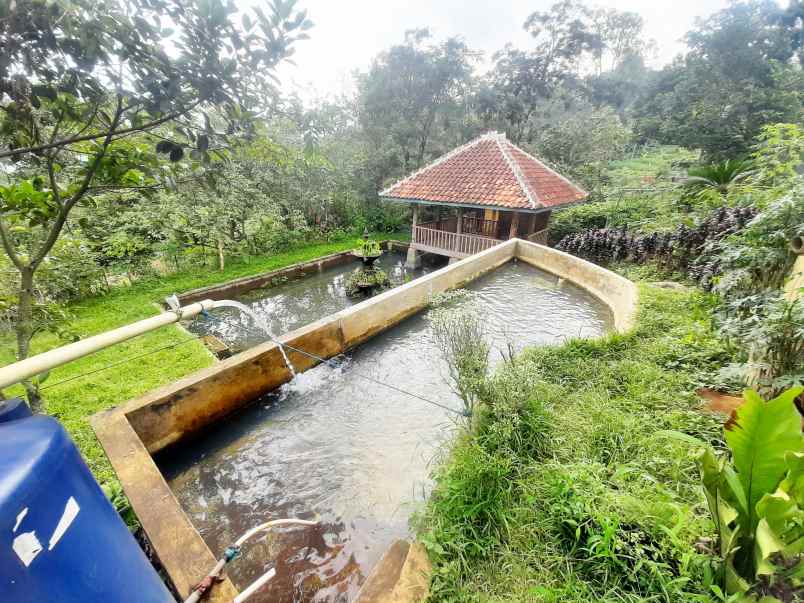 dijual villa ujung berung cijambe