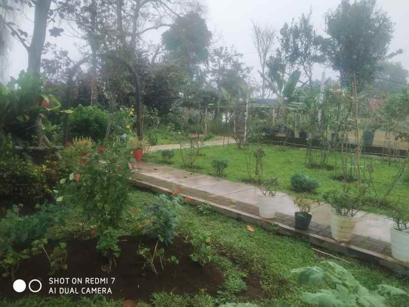 disewakan ruko gudang kantor desa pasirhalang kecamatan