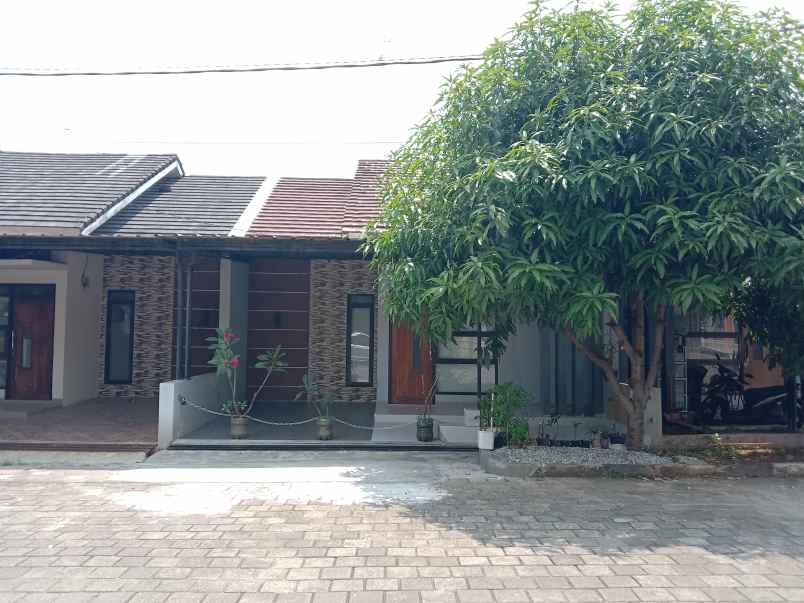 disewakan rumah jln alternatif bic desa