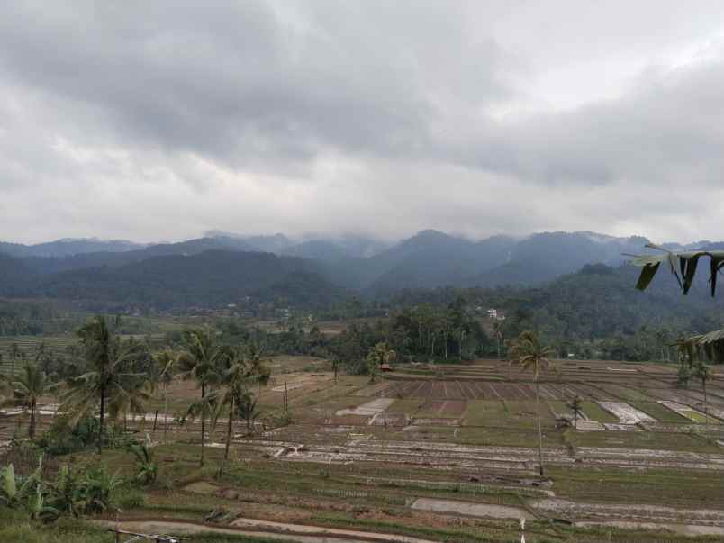 for sale tanah kolam pemancingan subang jawa barat