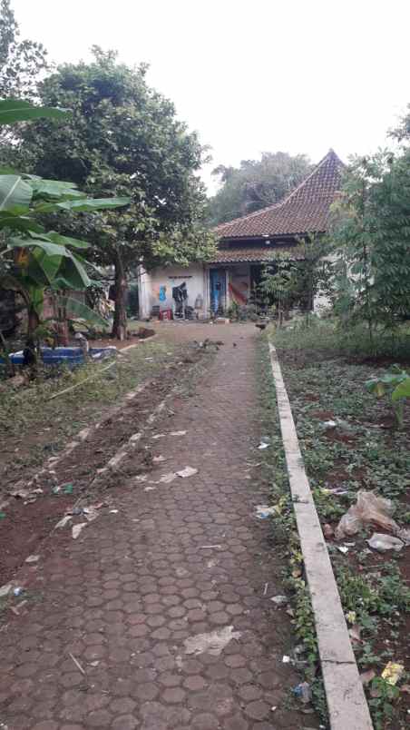 jual cepat rumah halaman luas dan asri ciseeng bogor