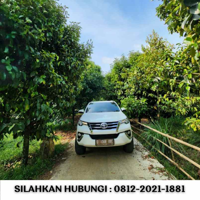 jual kebun durian 100 hektar di bogor