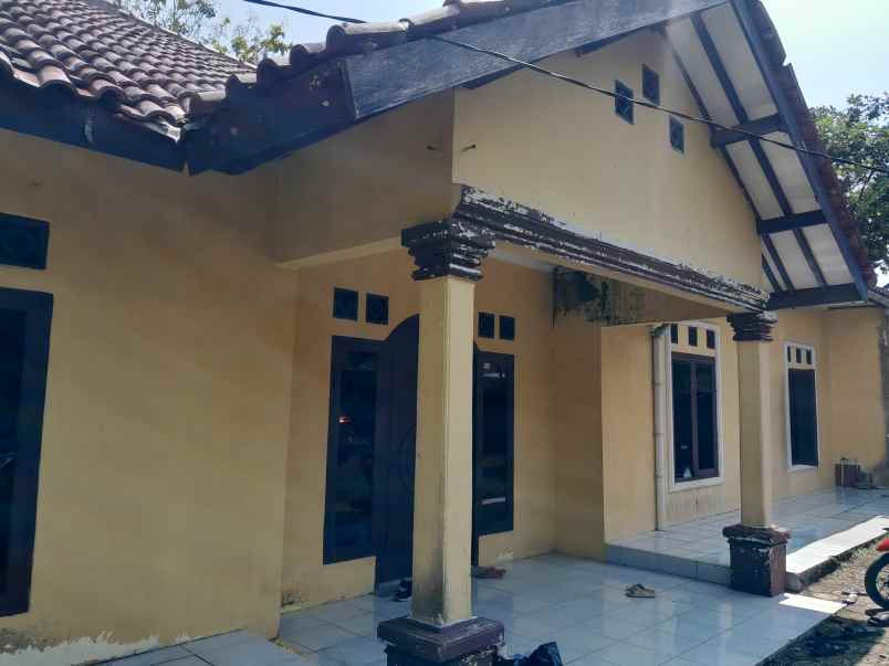 jual rumah pribadi ciampea cicadas