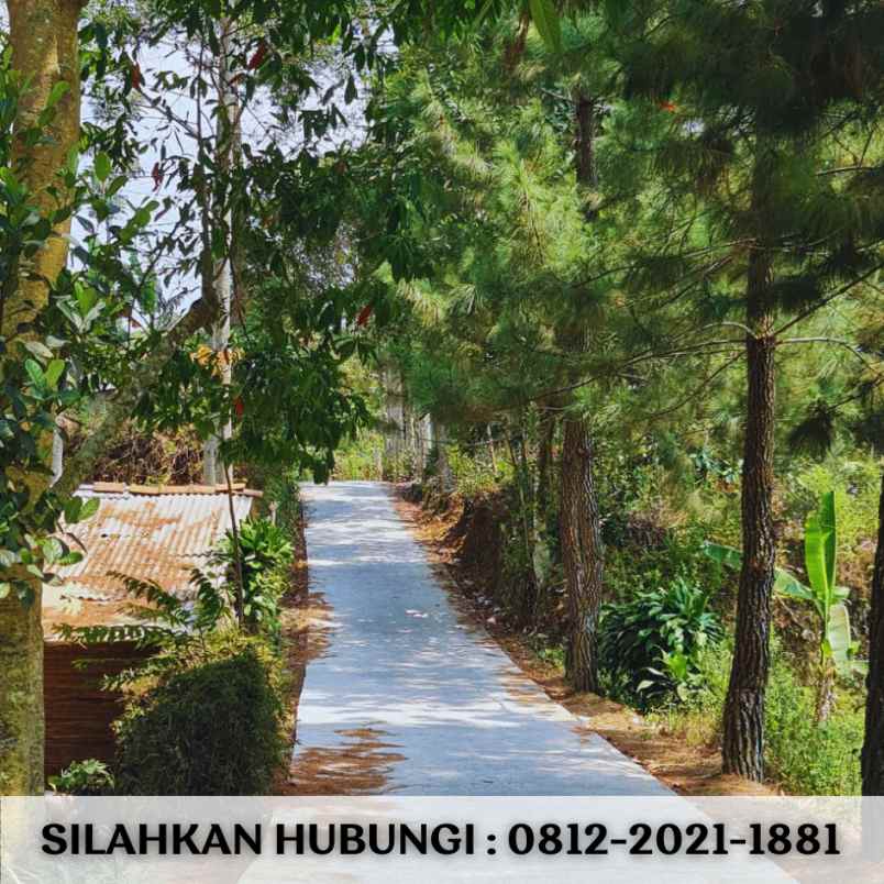 jual tanah cocok untuk villa dibandung