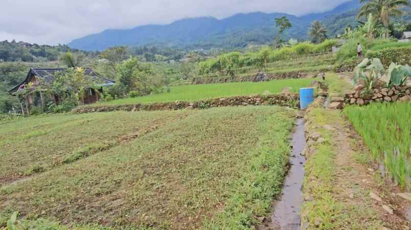 jual tanah di gunung bunder pamijahan bogor