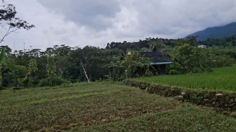 jual tanah di gunung bunder pamijahan bogor