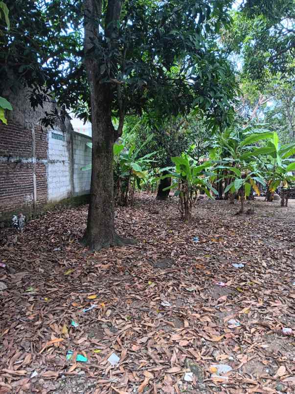 jual tanah di karawang shm