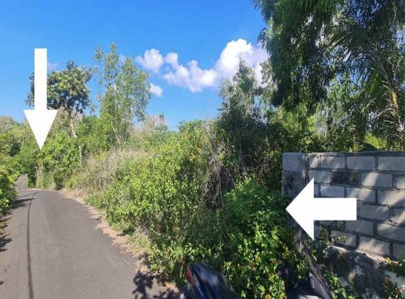 jual tanah kosong shm di jalan gayangsari badung bali