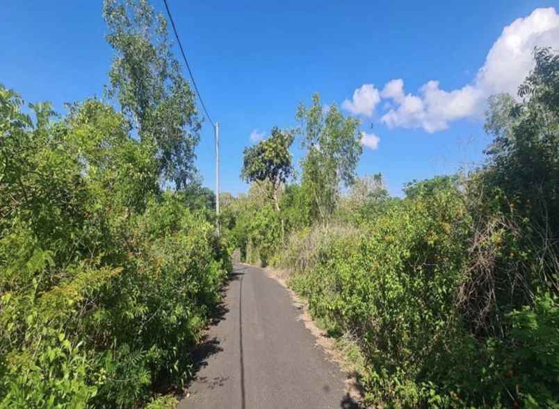 jual tanah kosong shm di jalan gayangsari badung bali