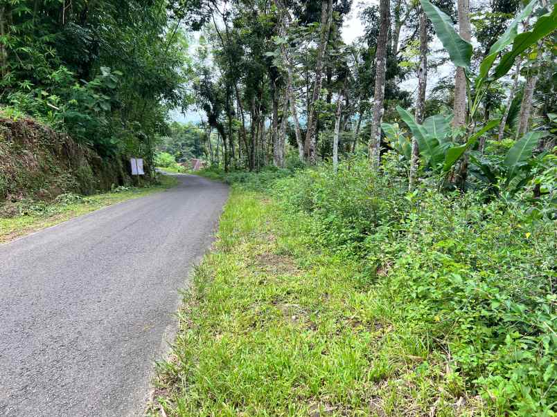 kebun durian 3232m tepi jl raya mojogedang karanganyar