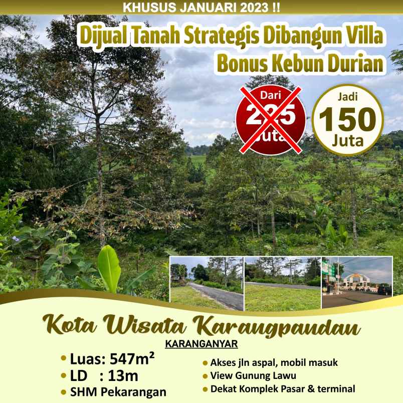 promo kebun durian hanya 150 juta karangpandan