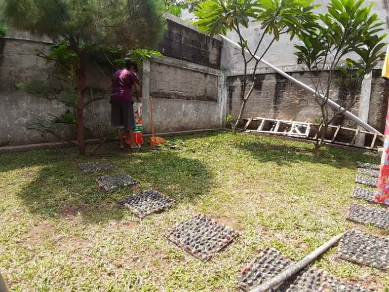 rumah anggrek loka bsd