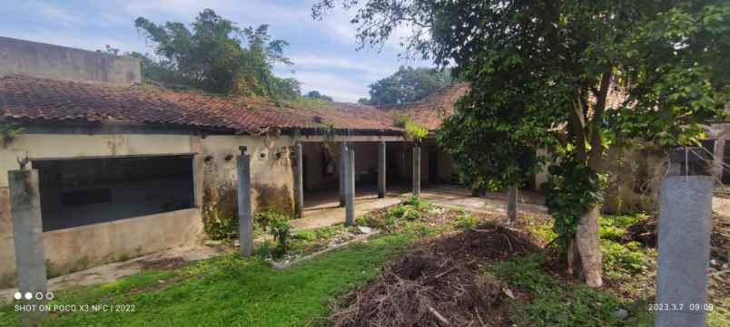 rumah haritage cocok untuk resto dan cafe