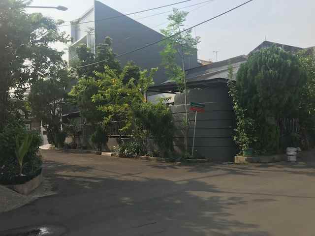 rumah kelapa cengkir kelapa gading