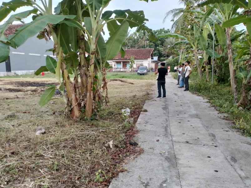 rumah murah utara kampus uny wates kulonprogo