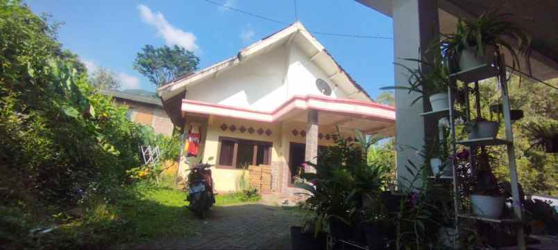 rumah siap huni trawas murah