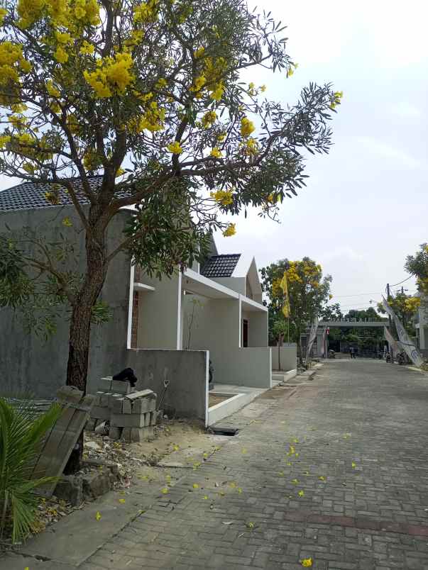 rumah triyagan mojolaban sukoharjo