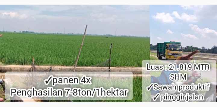 sawah produktif daerah cipunagara subang jawa barat