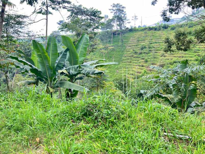 tanah 1534m dekat candi cetho karanganyar