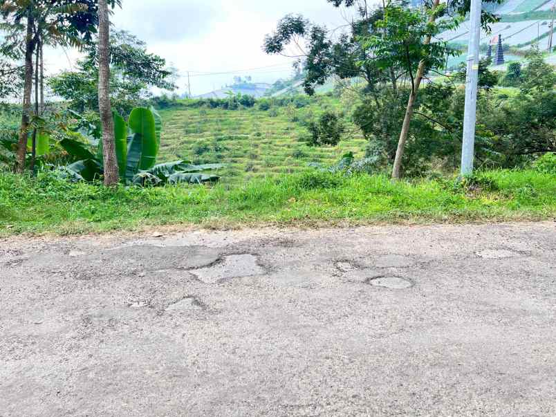 tanah 1534m dekat candi cetho karanganyar