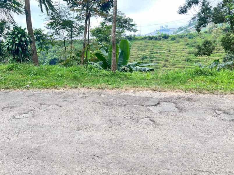 tanah 1534m dekat candi cetho karanganyar