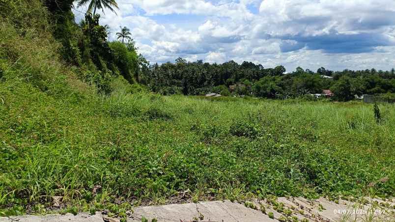 tanah 3 hektar di raden gunawan pesawaran lampung