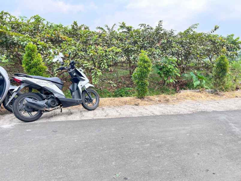 tanah 350 juta strategis kawasan wisata ngargoyoso