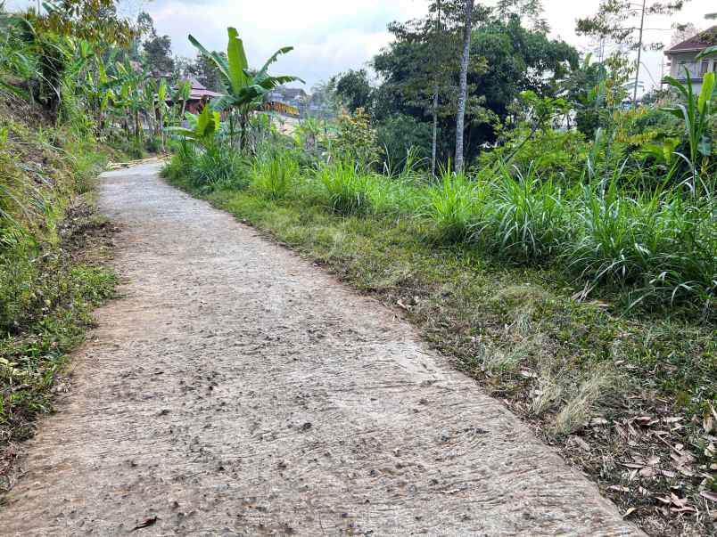 tanah ada sumber mata air kemuning karanganyar