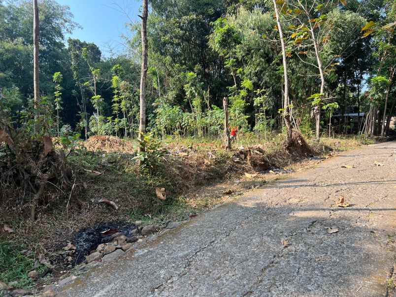 tanah datar 1544m siap bangun tempat tinggal investasi