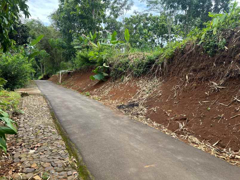 tanah datar super murah 1000m 275 juta mojogedang