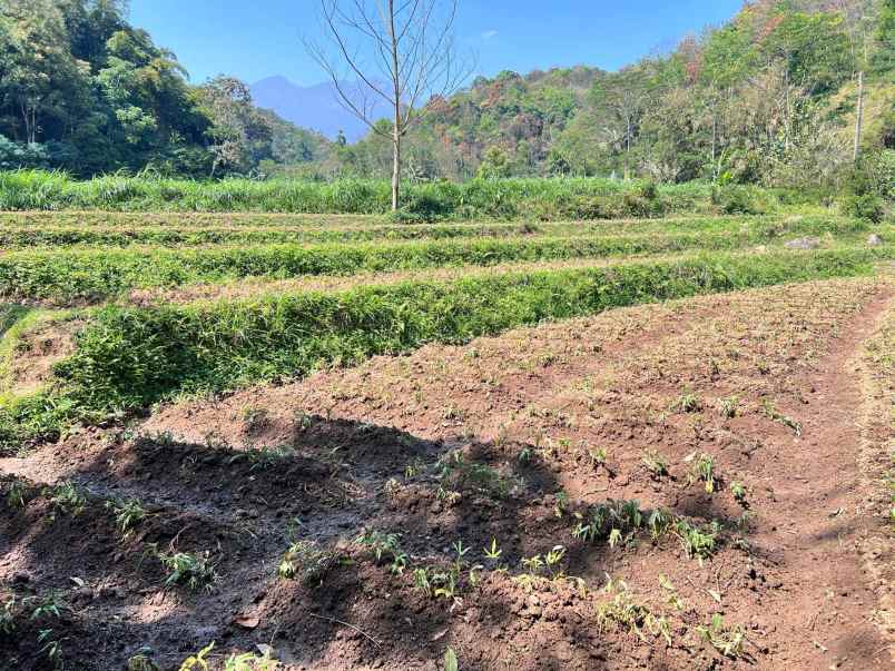 tanah dekat aliran sungai kawasan wisata ngargoyoso