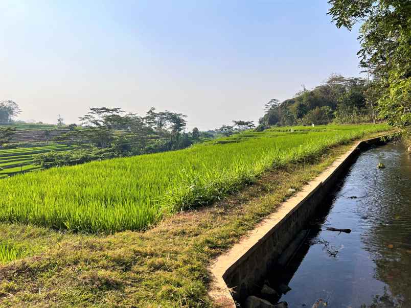 tanah dekat sungai 1155m mojogedang karanganyar