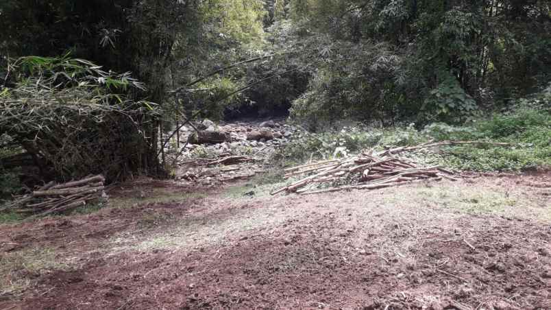 tanah di kelecung view sungai 40 menit ke canggu bali