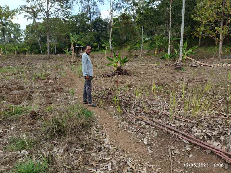 tanah di kemiling luas 1700m shm akses jalan aspal