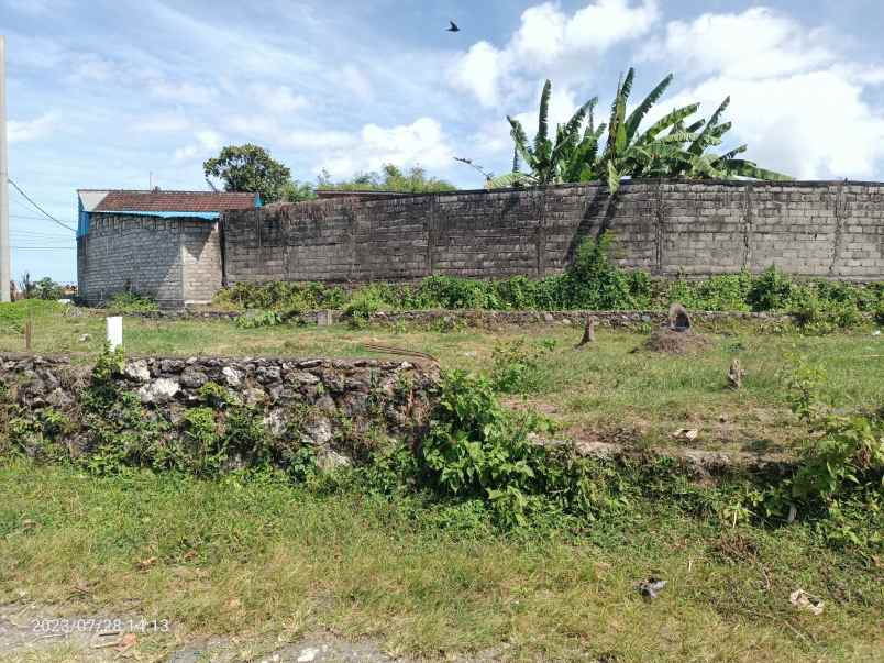 tanah di kwanji denpasar zona kuning dan view sawah