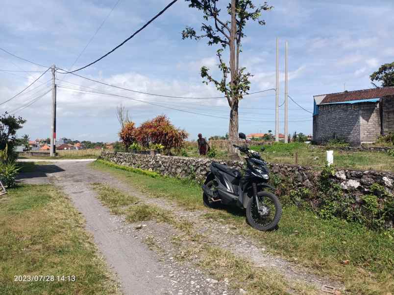 tanah di kwanji denpasar zona kuning dan view sawah